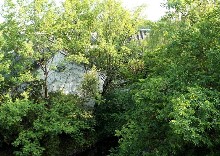 Thumbs/tn_LIN,CHIA-CHANG Banyan Tree Hangzhou (6).jpg